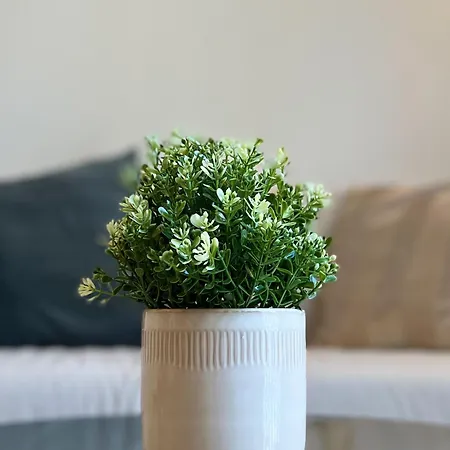 Appartamento Non Stress Templo *